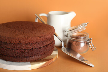 Board with sponge cake layers, spatula and cocoa powder on color background