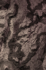 old stone texture close up