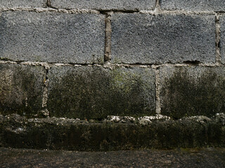 Moisture damage and mold growth on concrete wall foundation - Damp building problem with water seepage and deterioration issues