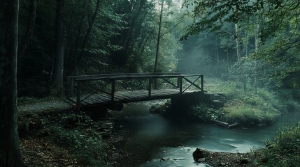 Wooden Bridge in Deep Forest