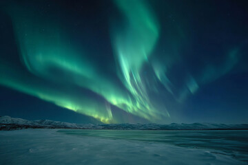 Naklejka premium Stunning aurora borealis over snowy winter landscape at night