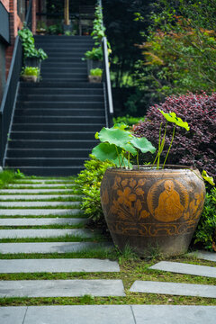 Summer Green Steps With Lotus Tubs Chinese Style Fresh Aesthetic