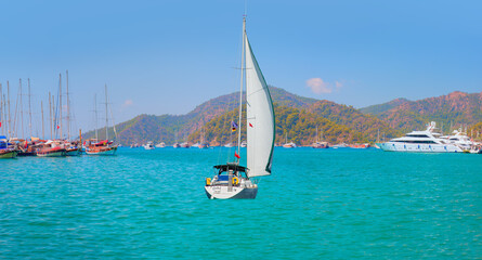 Fototapety na wymiar - Fototapeta24.pl