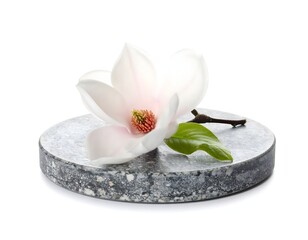 White magnolia flower with soft petals resting on smooth round gray stone isolated on white background representing beauty balance and natural relaxation concept
