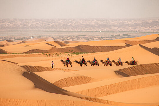 Grand Gansu Zhongwei Shapotou Desert Camel Caravan