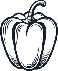 vector illustration of a tomato