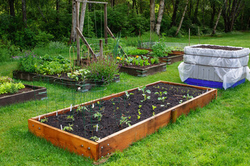 Community Garden
