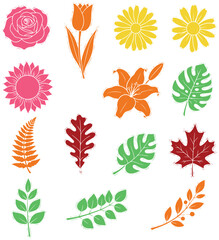 Beautiful collection of vibrant hand-drawn flowers and leaves for creative designs