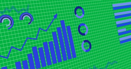 Animation of graphs, statistics and financial data processing on transparent background - Powered by Adobe