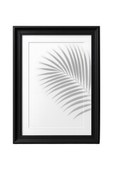 Black Frame with Shadows High quality Realistic image.