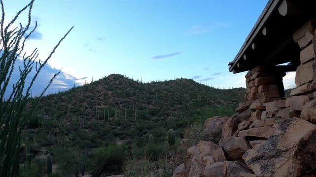 Arizona 1058 Saguaro National Park Tucson Cactus Desert
