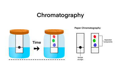 chromatography analytical method for the separation of a mixture into its individual components, Chromatography is a technique used to separate and analyze mixtures, infographic elements for design