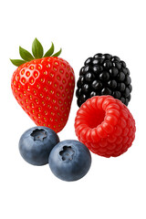 Berry Harvest High quality Realistic image.