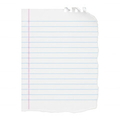 Torn lined paper sheet isolated on a transparent background