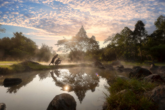 Environment hot spring in sunrise time at Jaeson National Park in Lampang, Thailand