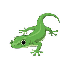 Naklejka premium Green lizard with a white background