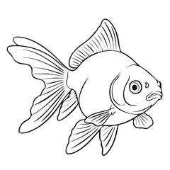 Black Line Art Goldfish Illustration on Isolated Transparent
