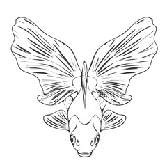 Black Goldfish Illustration Top View with Flowing Fins