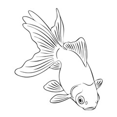 Black Goldfish Line Art Illustration