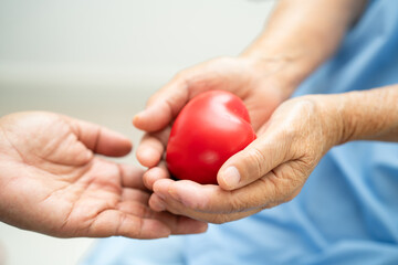 Doctor holding a red heart in hospital, healthy strong medical.