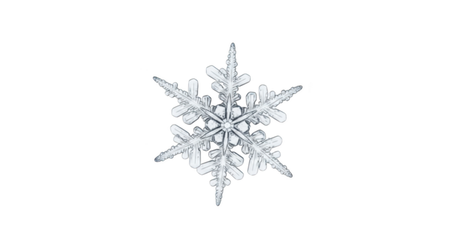 Real stellar dendrite snowflake crystal isolated on a white background featuring snowflake, snow, ice, crystal, dendrite