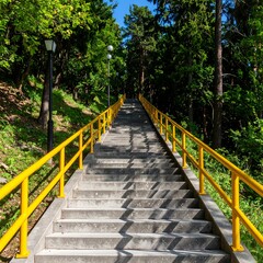 Fototapeta premium Concrete stairs leading up through a lush forest