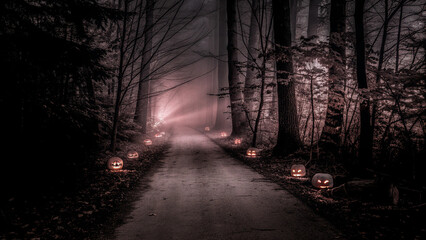Obraz premium Spooky halloween forest path with pumpkins and fog for halloween night background and halloween season