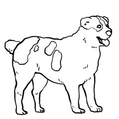 Simple and realistic line drawing of an Alabai dog