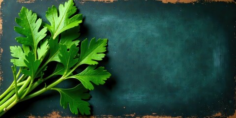 A vibrant bunch of fresh parsley leaves rests on a dark teal textured surface, offering a delightful culinary or botanical backdrop