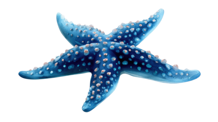 Starfish in Ocean Depths: a mesmerizing blue starfish, with its intricate textured surface and unique pentagonal symmetry, invites admiration of nature's designs.Blue starfish isolated on white backgr