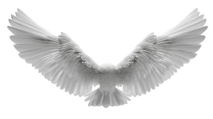 Soaring Wings: A pure white dove in full flight, its wings outstretched in a symbol of freedom, peace, and purity, capturing the elegance and grace of the avian form.