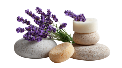 Tranquil Spa Still Life: A calming spa still life composed of smooth stones, soothing lavender, and natural soap, offering a serene visual experience.