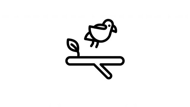 bird animated icon