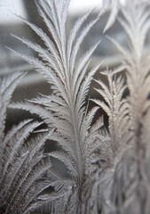 Detailed frost patterns on a windowpane.