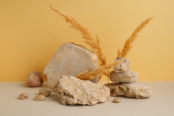 Different sea stones and pampas grass on colorful background