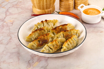 Japanese fried Gyoza stuffed dumplings