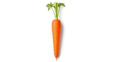 Fresh vibrant carrot with healthy green leaves, perfect for healthy eating campaigns and promoting organic produce for food markets and restaurants