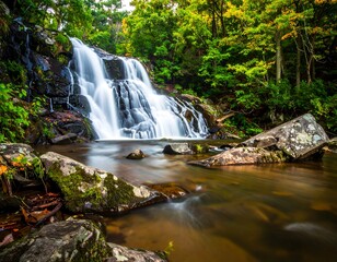 Waterfall cascading over rocks in a lush forest
