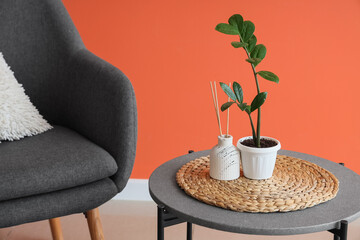 Plant with reed diffuser on table in living room