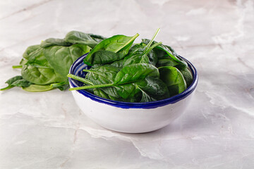 Raw green baby spinach plant