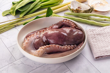 Gourmet luxury raw wild octopus