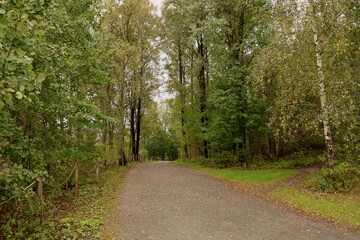 Landscape