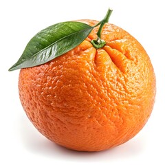 Strychnos Spinosa Var. Coccinea Wild Monkey Orange Brilliant Exotic Fruit with Fiery Red-Golden Glow and Bold Tropical Beauty on White Background for Natural Vibrance and Fresh Energy