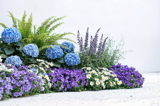 Lush Blue and Purple Hydrangea Flower Border on White Background