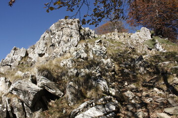 rocky mountain landscape