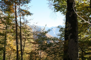 Fototapeta premium Golden autumn of the Caucasus Mountains