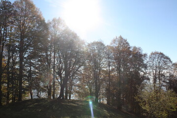 Golden autumn of the Caucasus Mountains