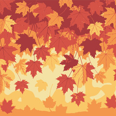 Fototapeta premium A vibrant tapestry of falling maple leaves in shades of red orange and yellow evokes the essence of autumn s beauty