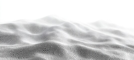 abstract digital terrain made of numerous small black and white dots creating a smooth wave-like surface with a high contrast bright background