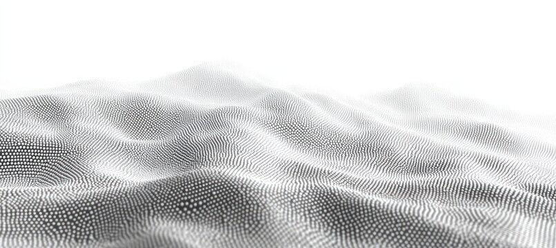 abstract digital terrain made of numerous small black and white dots creating a smooth wave-like surface with a high contrast bright background